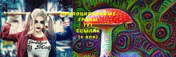 СК Армянск
