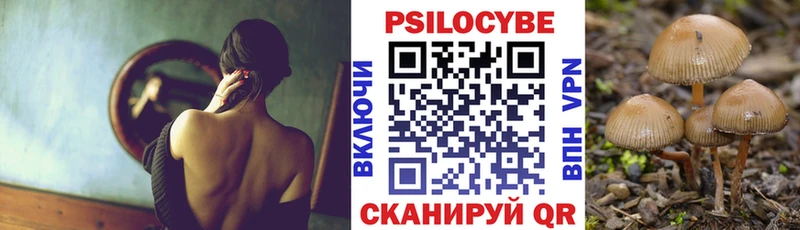 Купить где  Саранск  Галлюциногенные грибы MAGIC MUSHROOMS 